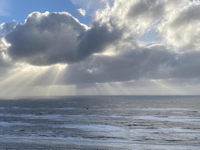 Apartament Blue Fish Zandvoort Zewnętrze zdjęcie